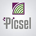 Picsel